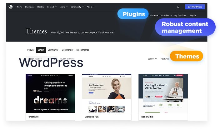 WordPress IDX Plugin